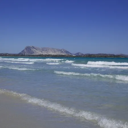 Costa Caddu Hotel 3*