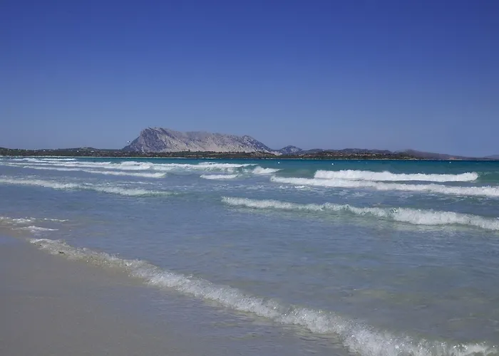 Costa Caddu Hotel 3*